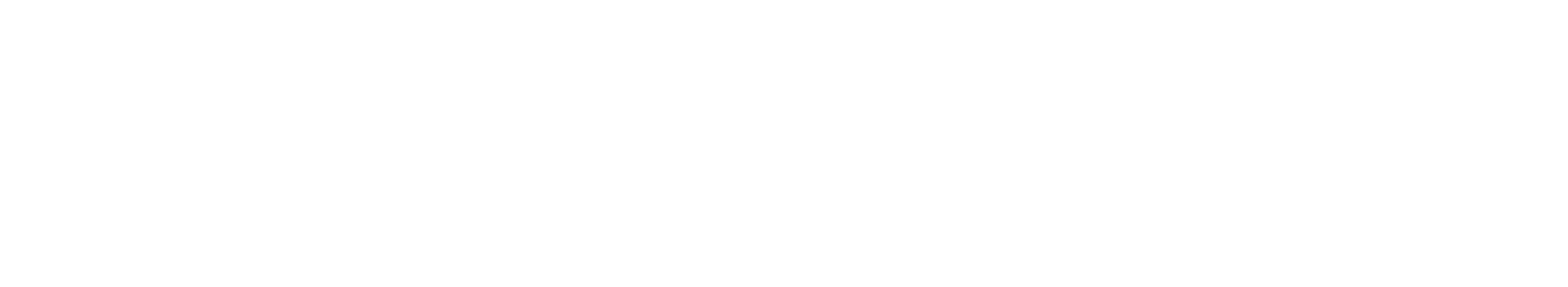 Dental Montitoring Logo